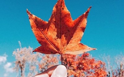 Du lịch Đài Loan mùa thu có gì thú vị?