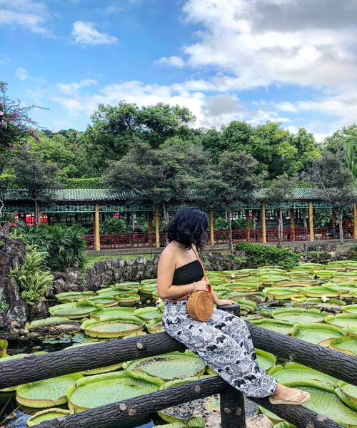 Bay ngay đến công viên Shuangxi để trải nghiệm ngồi trên lá sen “siêu to khổng lồ” giữa mặt hồ