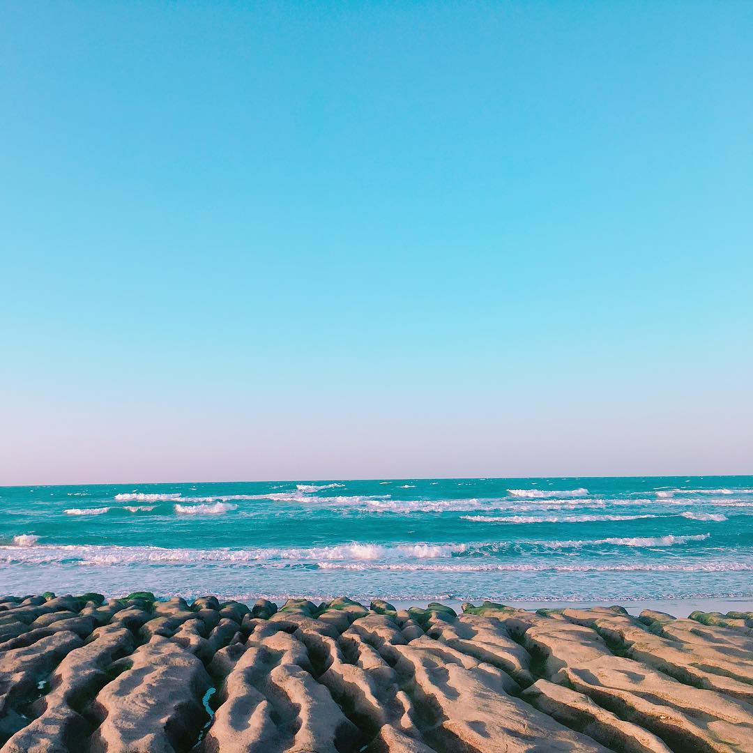 Mùa rêu chết