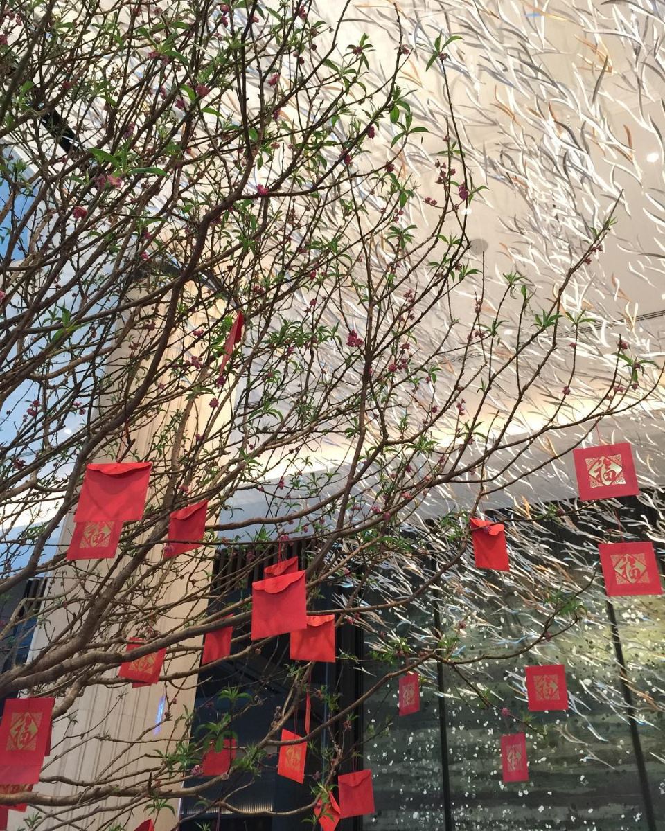 tết 2019