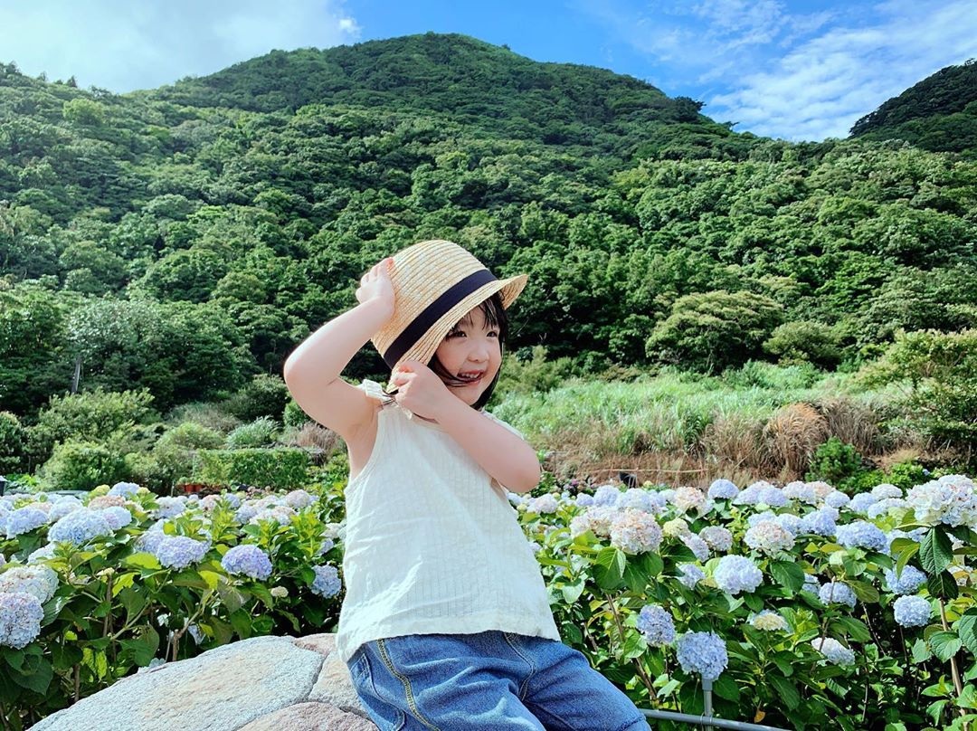 Hoa ở Yangmingshan