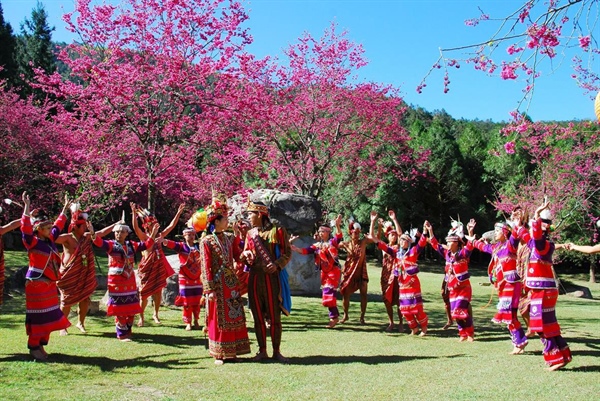 Lễ hội hoa anh đào