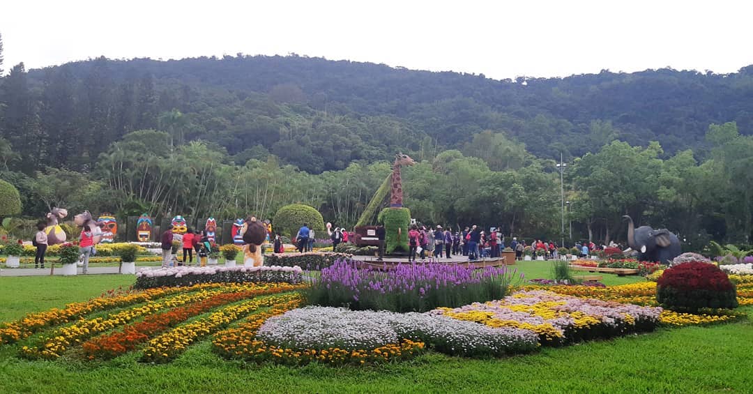 Không khí lễ hội hoa