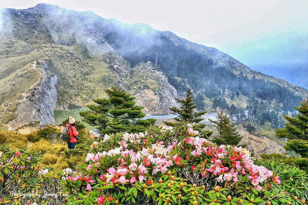 Taroko