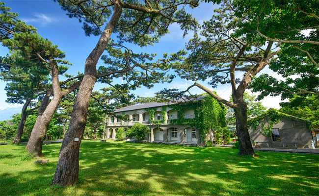 Vườn Pine