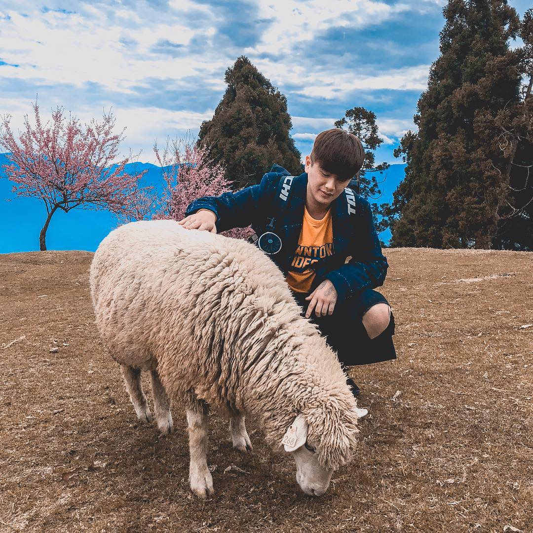 Cingjing Farm